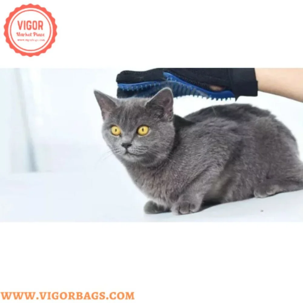 Pet Grooming Glove & Grooming Brush for your Lovable Pets